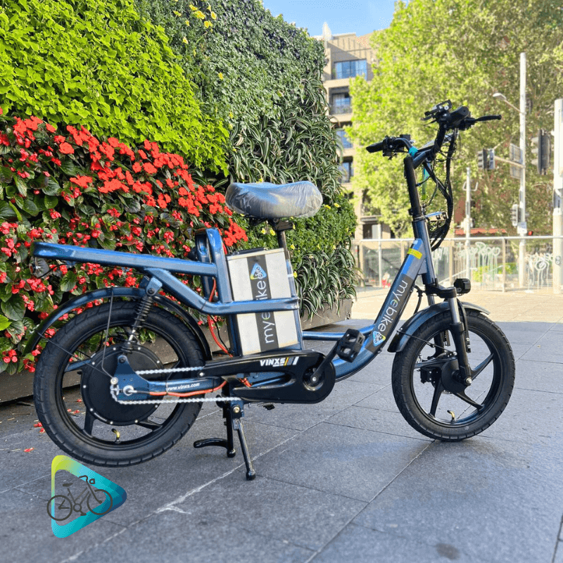 Vinxs MY24 Cargo E-Bike