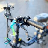 Vinxs MY24 Cargo E-Bike