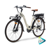 MUV Dutch — image 7