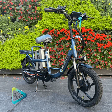 Vinxs Cargo
