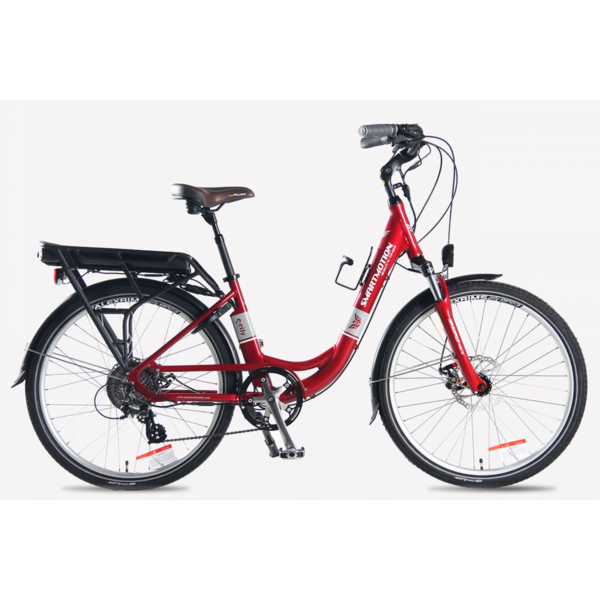 Smartmotion G3 ECity samsumg 15ah