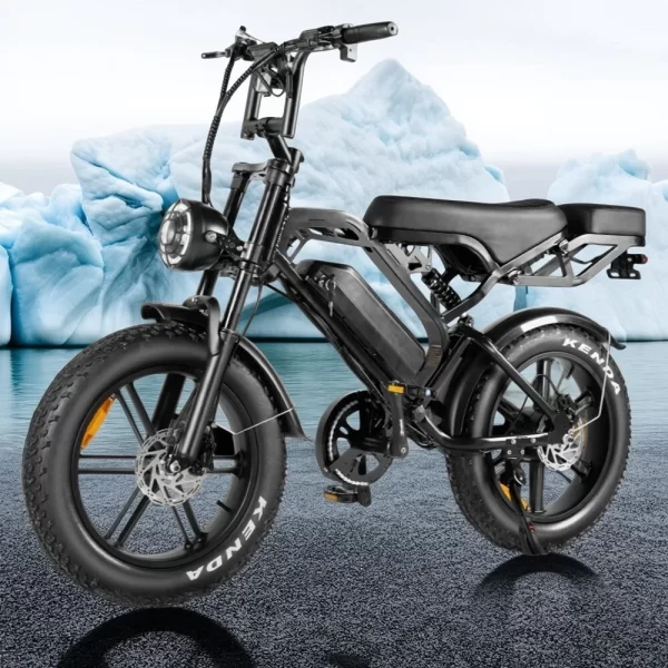 Lagads Electric Bicycle V20Pro